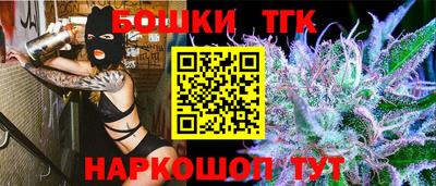 индика Сланцы