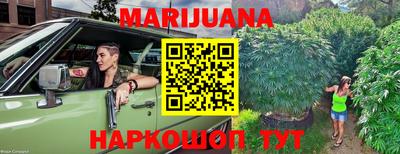 индика Сланцы
