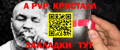 индика Сланцы