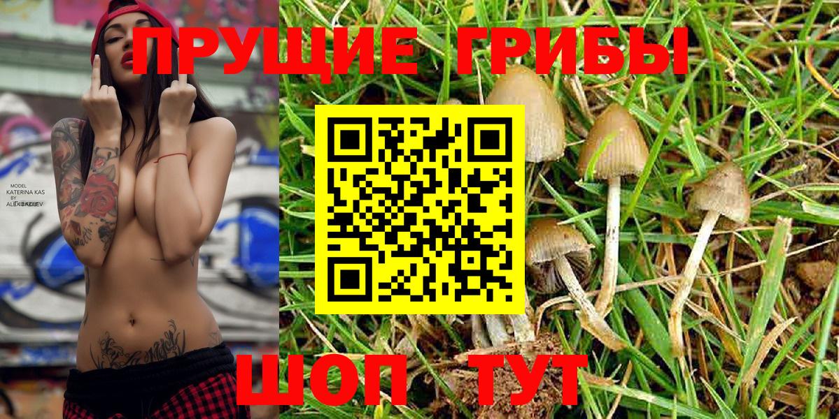купить  сайты  Псилоцибиновые грибы MAGIC MUSHROOMS  Вход с VPN  Псилоцибиновые грибы ЛСД  Холмск 
